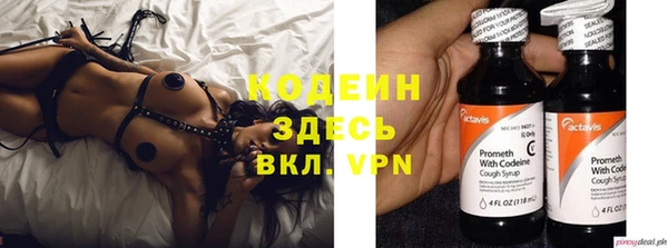 молекула духа Киреевск
