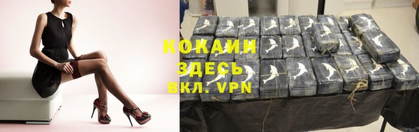 молекула духа Киреевск