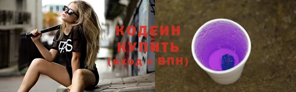 молекула духа Киреевск