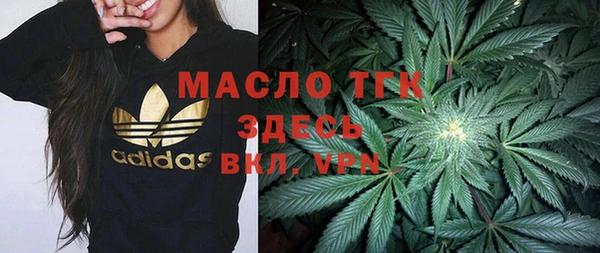 молекула духа Киреевск