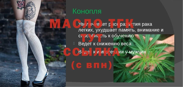 молекула духа Киреевск