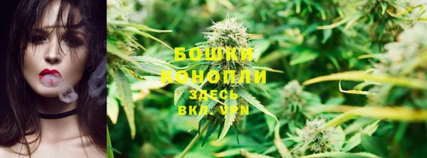 молекула духа Киреевск